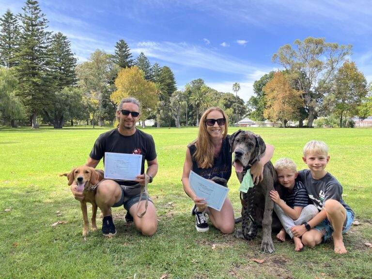 Happy dog training session outdoors with family and dogs in a park.