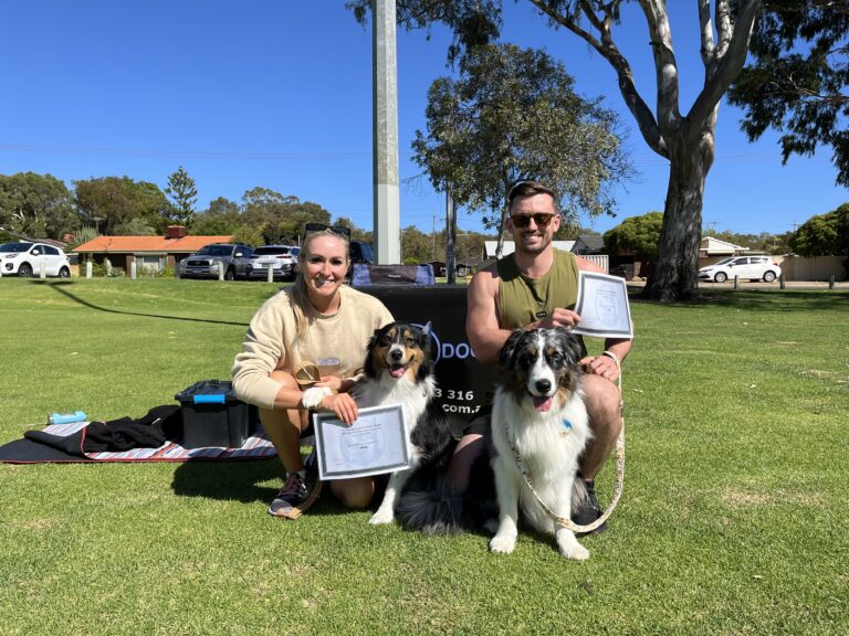 Happy dog trainers with two Border Collies after successful training session.