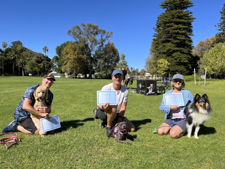 Group of people with dogs during agility training session outdoors.