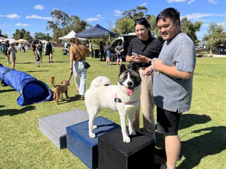 Happy dog on podium at outdoor agility event with owners.