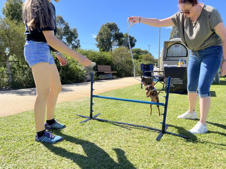 Dog agility training with owner and trainer outdoors in park.