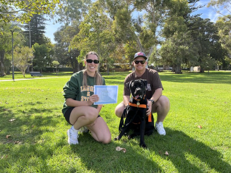 Happy dog training session outdoors with owner and trainer in a sunny park.