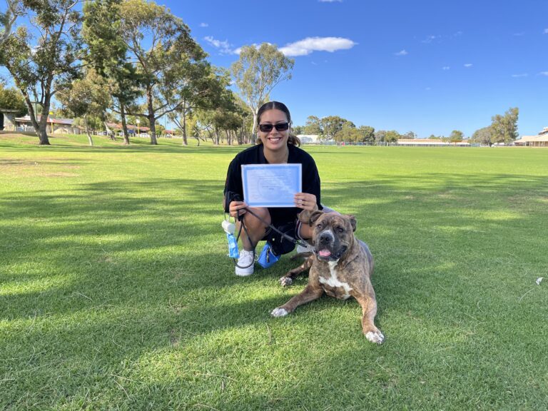 Dog training session outdoors with a smiling woman and her dog on a sunny day.