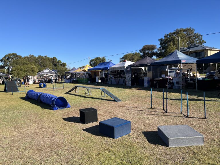 Dog agility training course with ramps, tunnels, and obstacles at outdoor event.
