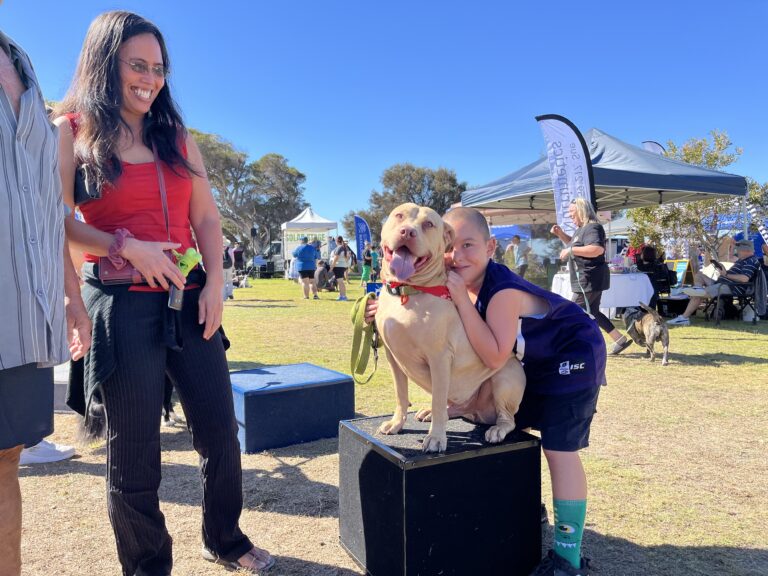 Dog agility training session with a smiling dog on a platform, surrounded by happy participants at a.