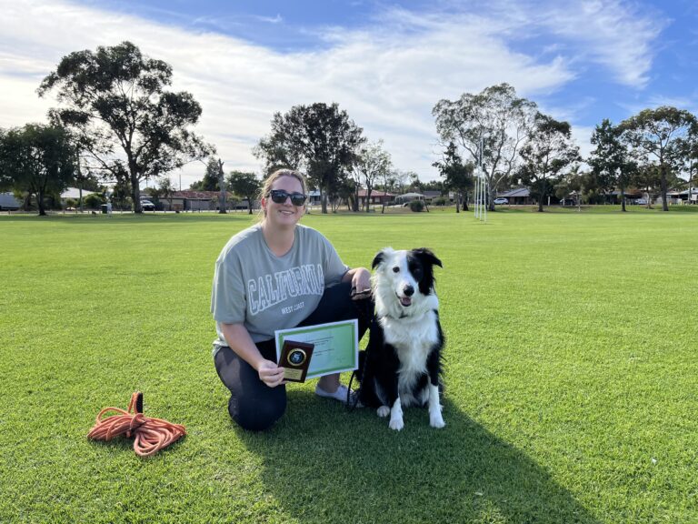 Dog training certification with Agile Dogs in Australia, featuring a woman and her Border Collie in.