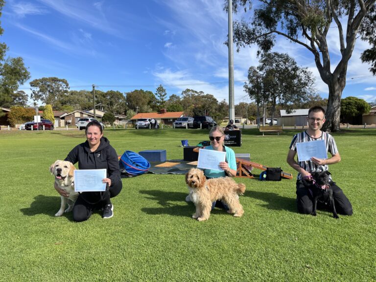 Group of dog trainers with their dogs during an outdoor training session.