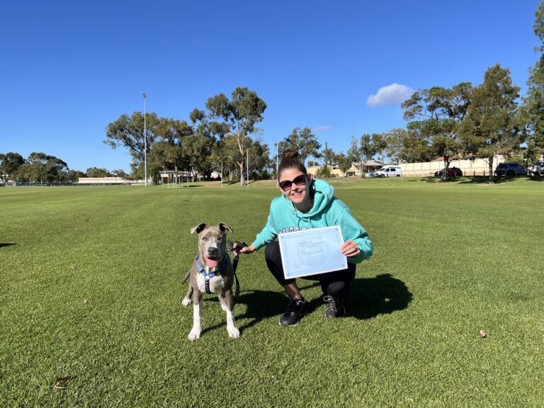 Woman with dog at park during Agile Dogs training session.