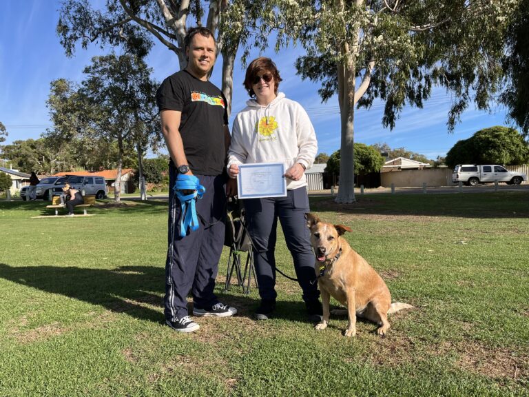 Dog training certification event with trainer, owner, and service dog outdoors.