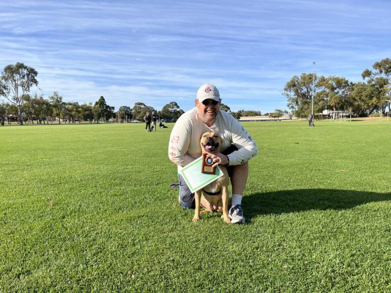 Man with dog during agility training in a park setting.