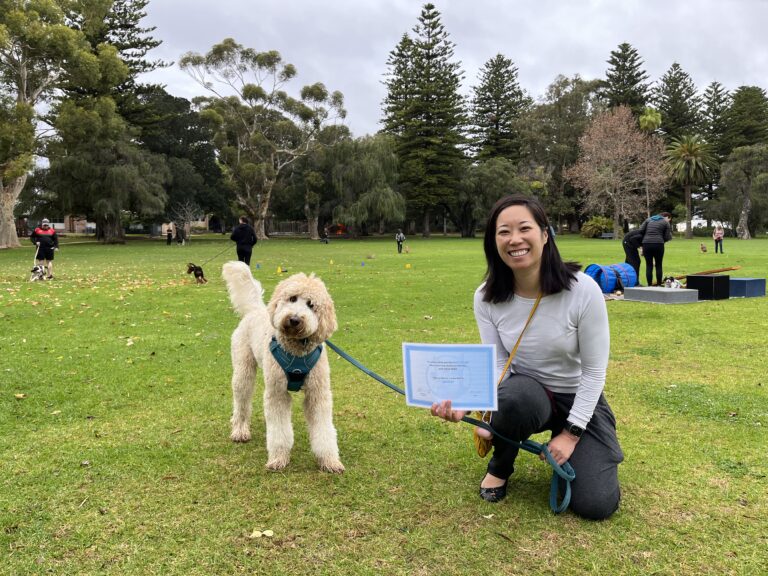 Happy woman with her dog holding a training certificate in a park.