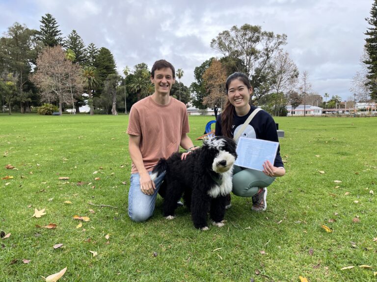 Dog training, agility, obedience, park, dog trainer, pet training, outdoor activity, agility trainin.