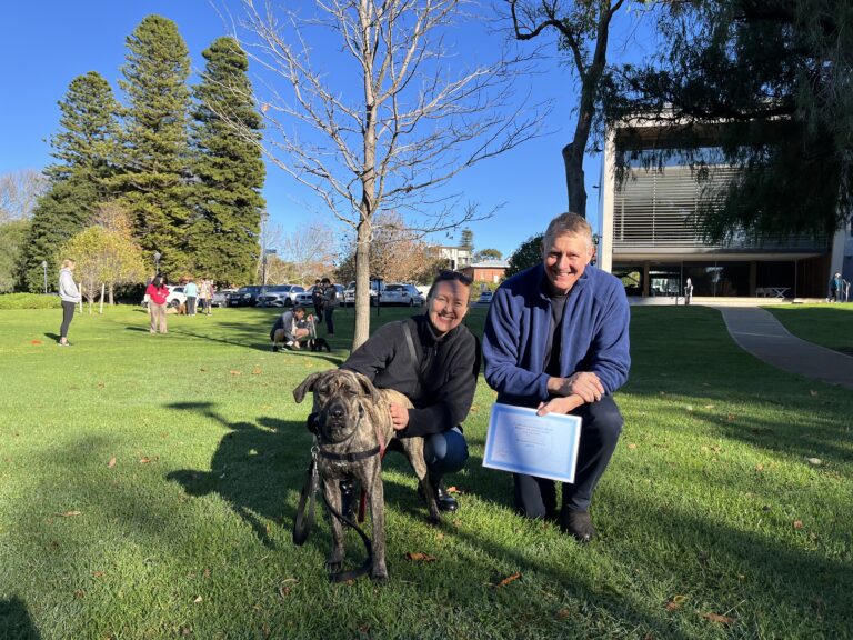 Happy dog with trainers during a training session in a park.