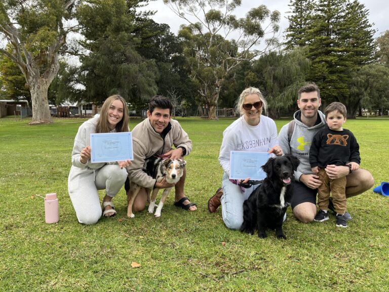 Happy dog training session with owners and dogs outdoors in a park setting.