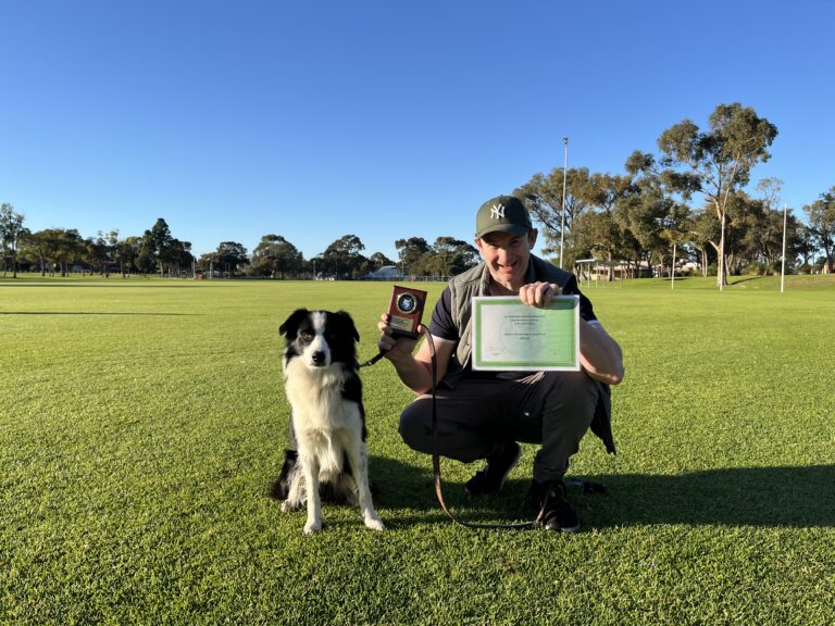 Man with Border Collie holding training award outdoors in park.