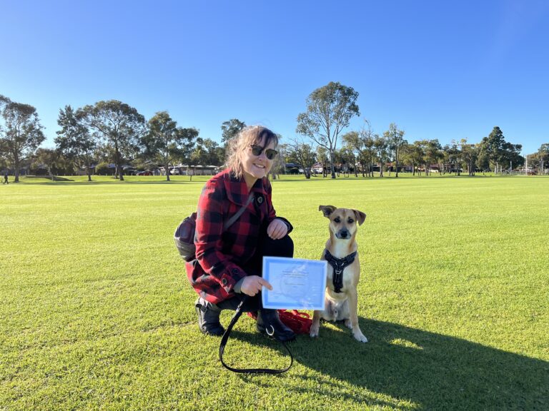Woman training her dog outdoors in a park with a certificate.