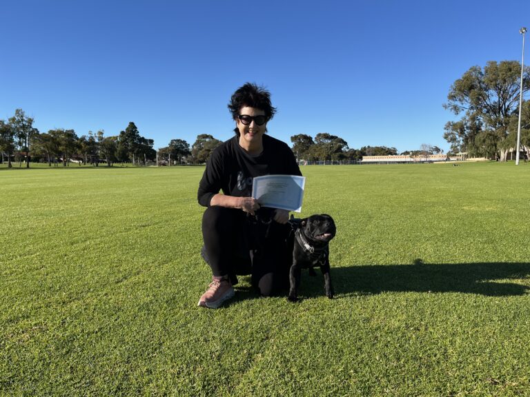 Woman training black dog outdoors on a sunny day in a park.