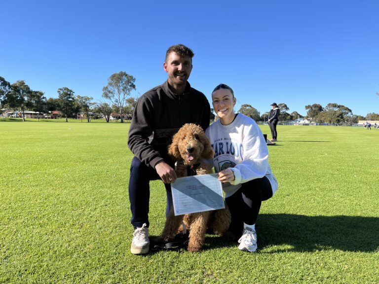 Happy dog training session outdoors with owners and a poodle mix.