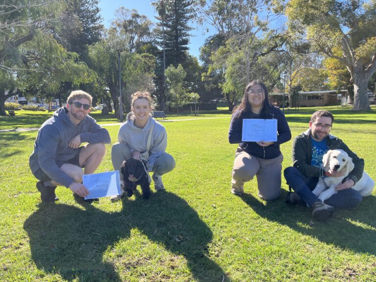 Group of people with dogs during training session at Agile Dogs, emphasizing dog obedience and socia.