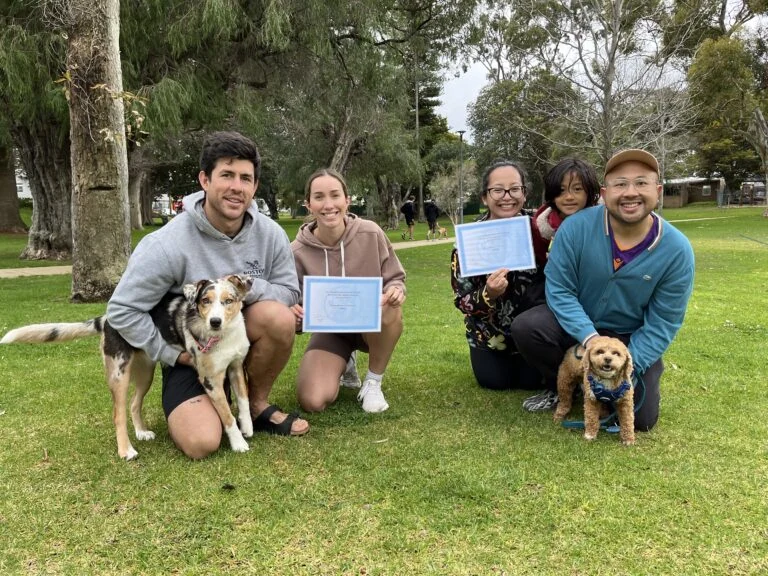 Happy dog training group with dogs and certificates outdoors in a park.