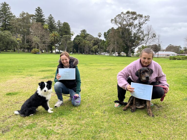 Two women with dogs holding certificates during dog training graduation at Agile Dogs.