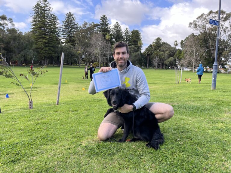 Man kneeling with black dog in park during training session.