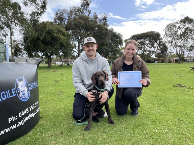 Dog training certification celebration at Agile Dogs, outdoor park.