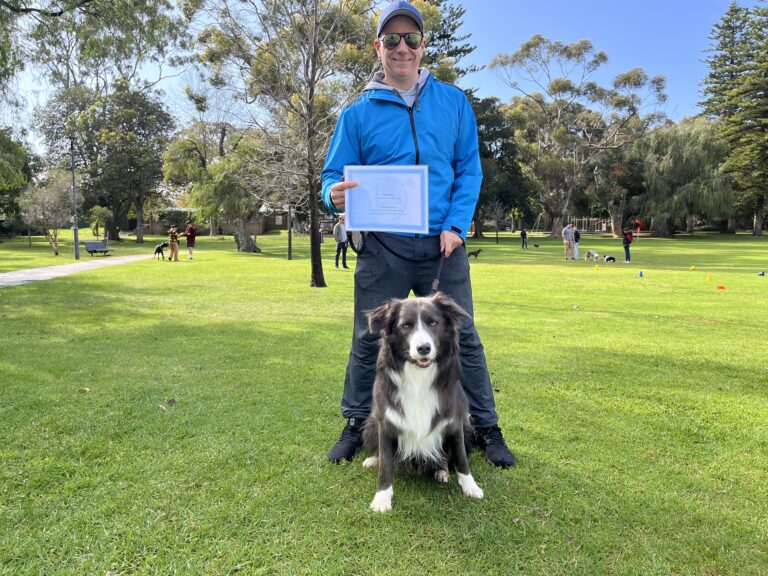 Dog training certification ceremony in the park with a happy dog and owner.
