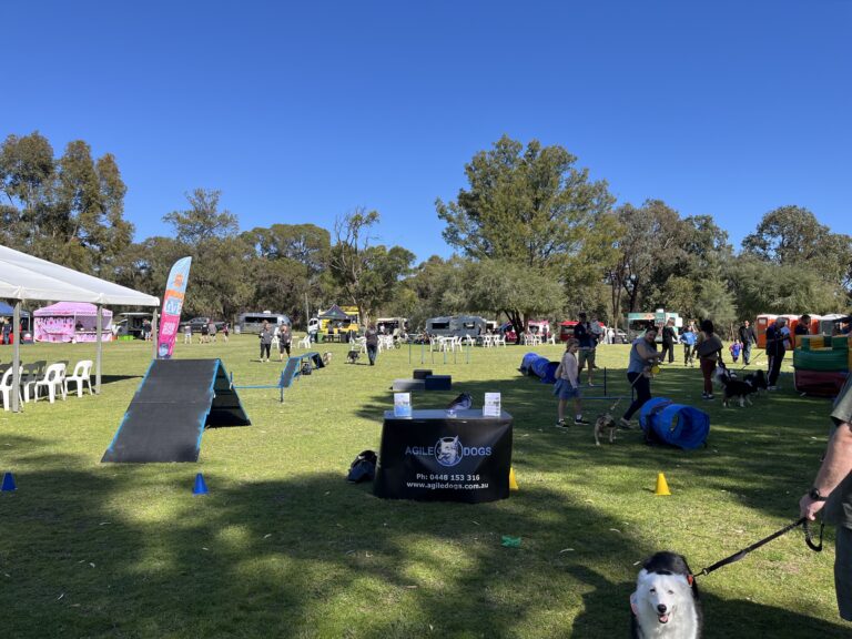 Agile Dogs dog agility training event in outdoor park with dogs and handlers.