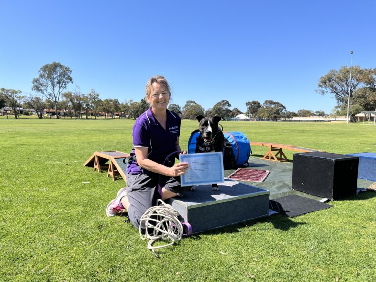Dog agility training session at Agile Dogs facility with a trainer and a black dog on an obstacle co.