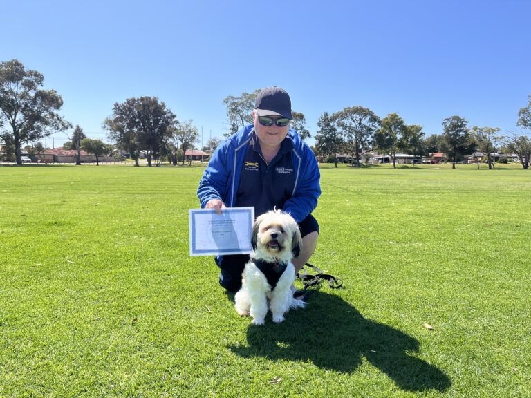 Dog training, agility, obedience, outdoor training, dog behavior.