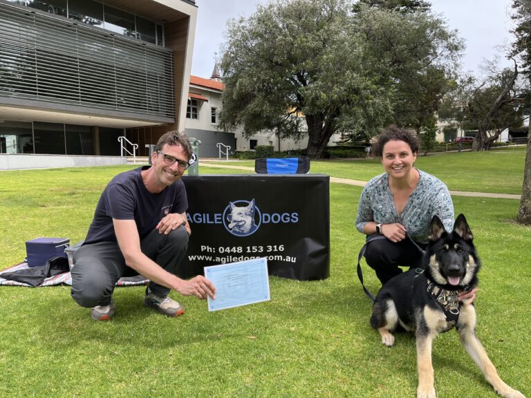 Training session with a dog at Agile Dogs, outdoor dog training facility.