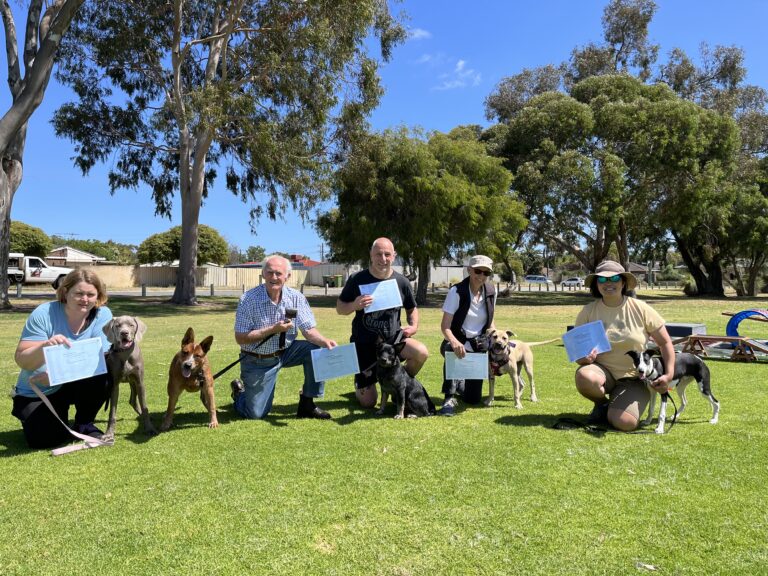 Dog training class with handlers and dogs in a park setting, practicing obedience skills.