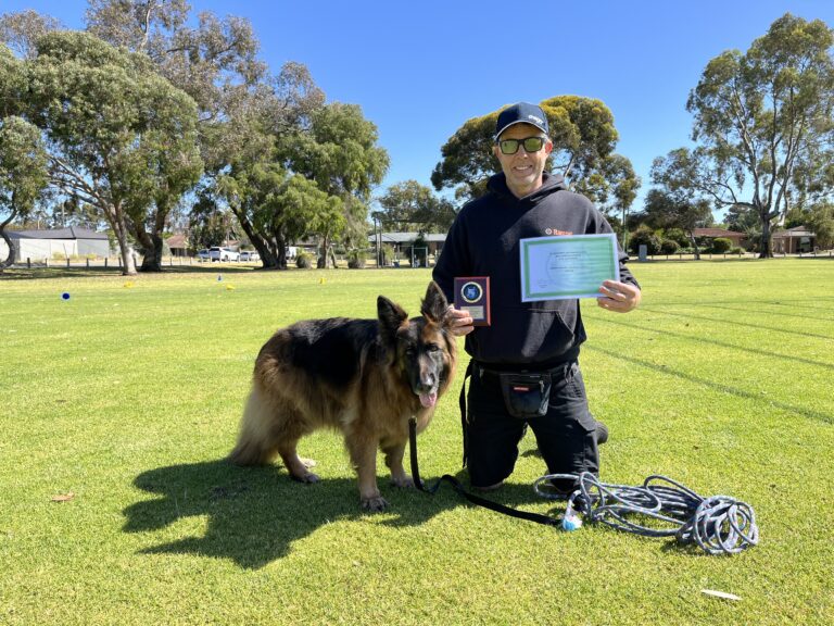 Certified dog trainer with German Shepherd in outdoor training session.
