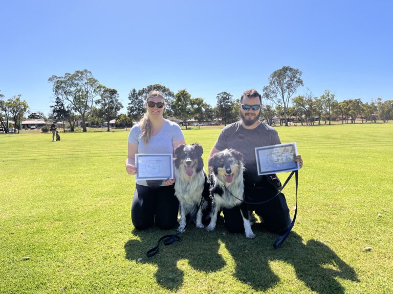 Two dogs and their owners celebrating dog training success outdoors.