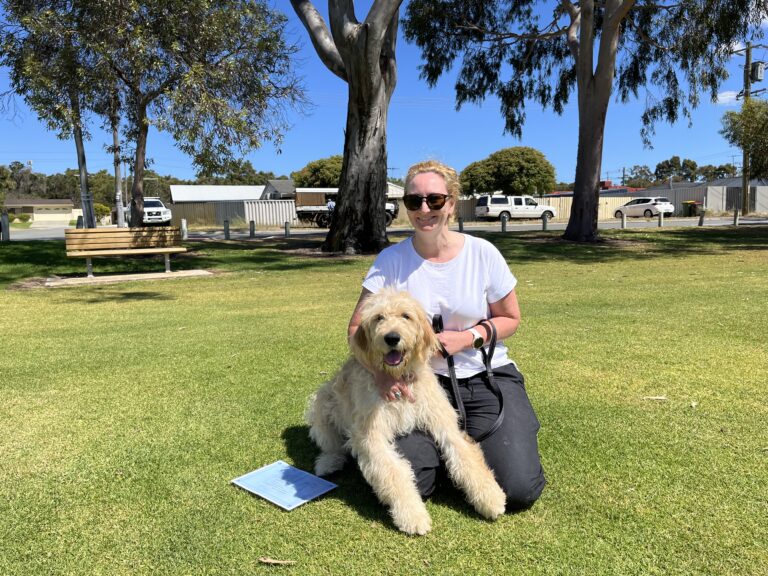 Dog training session in a park with a woman and her fluffy dog.