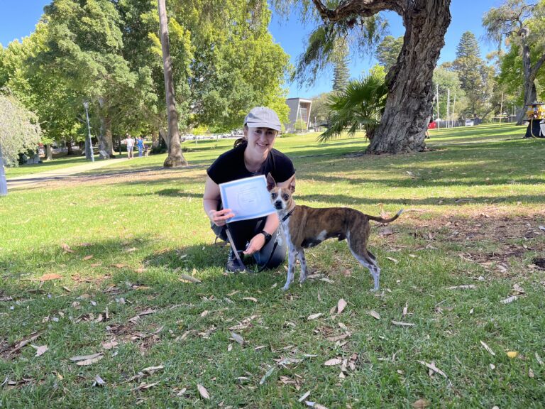 Woman with dog during agility training in park setting.