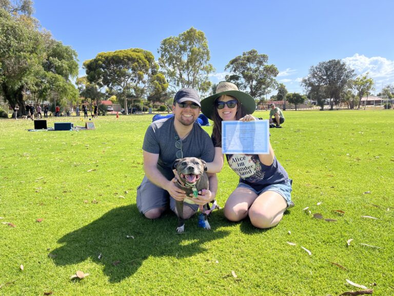 Happy dog with owners enjoying outdoor park activities in sunny weather.