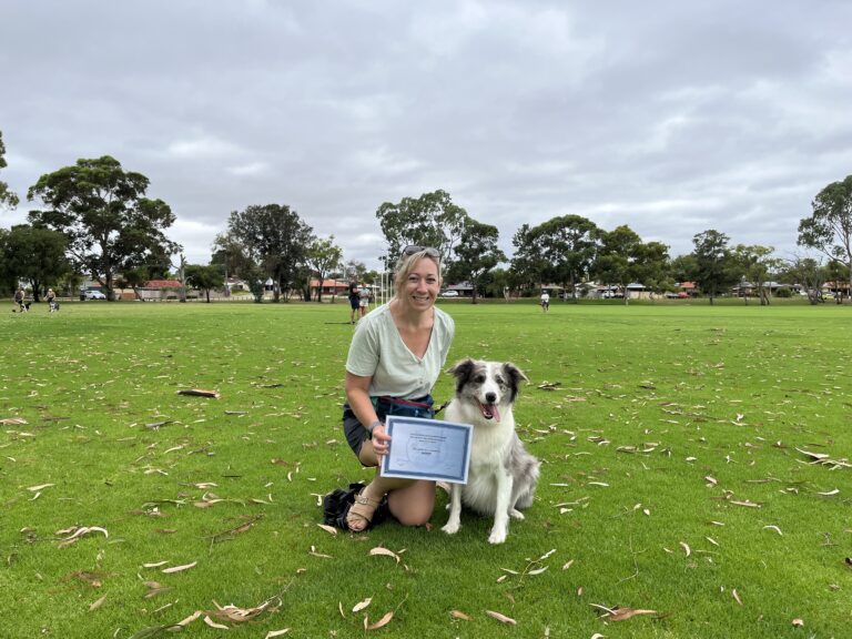Woman with Border Collie during agility training in park.
