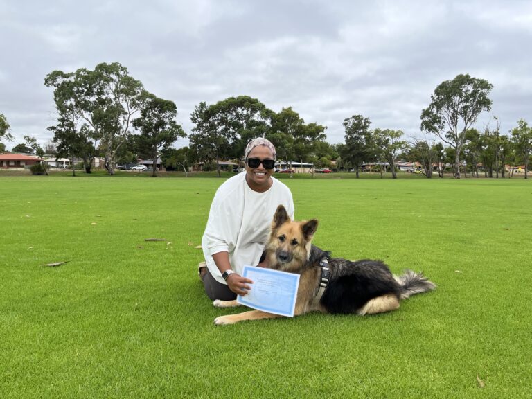Woman training German Shepherd dog outdoors on a grassy field, practicing obedience skills.
