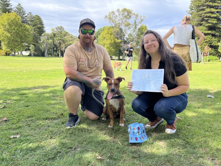 Dog training celebration with owners and their dog in a park.