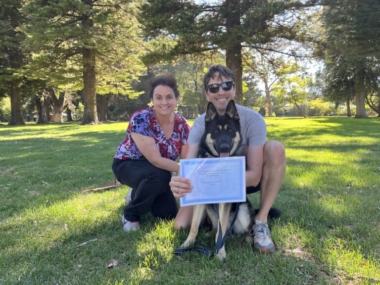 Dog training certification ceremony in a park with happy owners and their well-behaved dog.