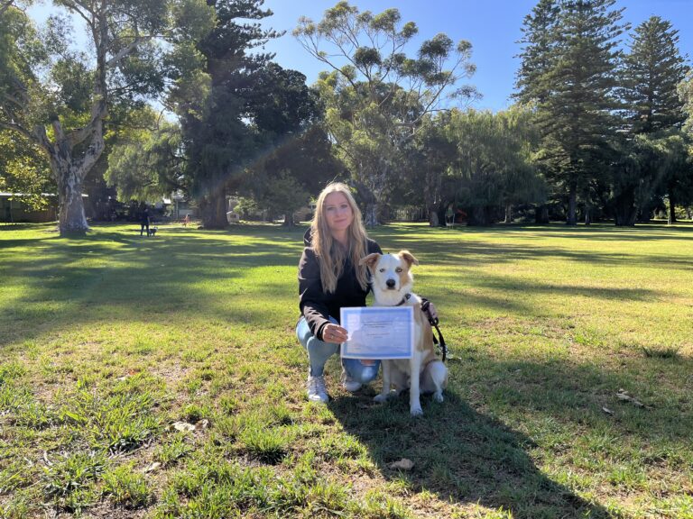Dog training session outdoors with a woman and her dog.