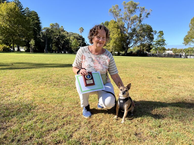 Dog training, agility, obedience, outdoor training, dog trainer, pet training.