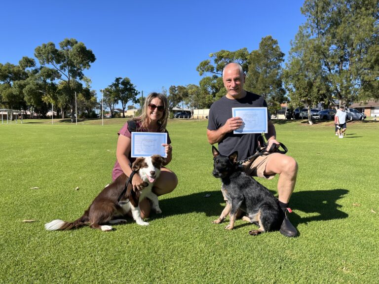 Dog training certification ceremony with two dogs and owners holding certificates.