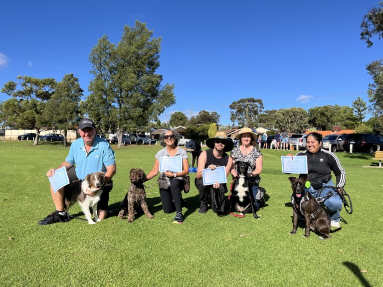 Group dog training session outdoors on a sunny day with handlers holding certificates.