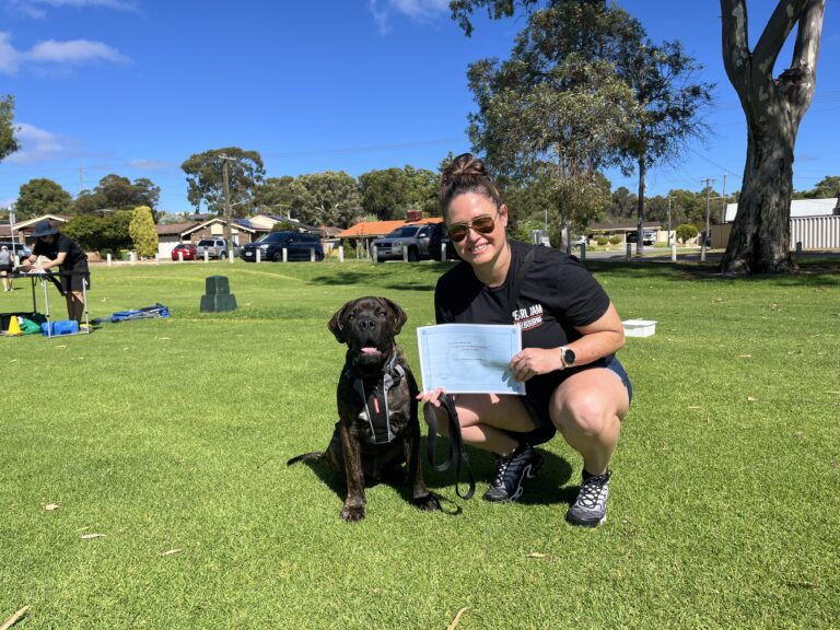 Woman training her black dog outdoors in a park setting.