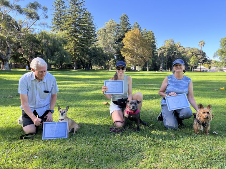 Group of people with dogs during agility training session outdoors.