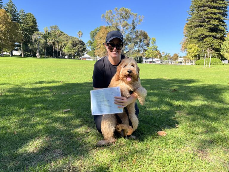 Dog training session outdoors with a trainer and a fluffy dog.