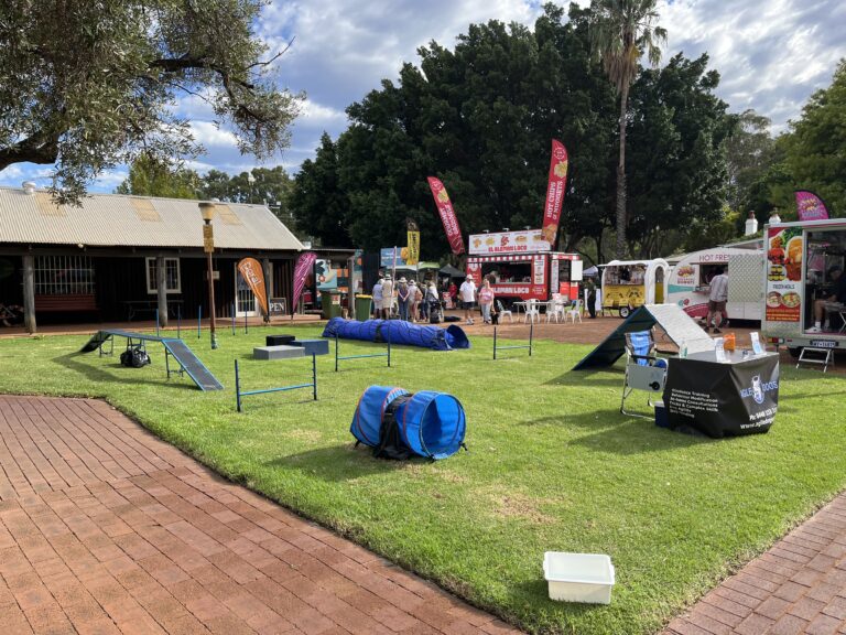 Dog agility training and play area at a food truck festival.